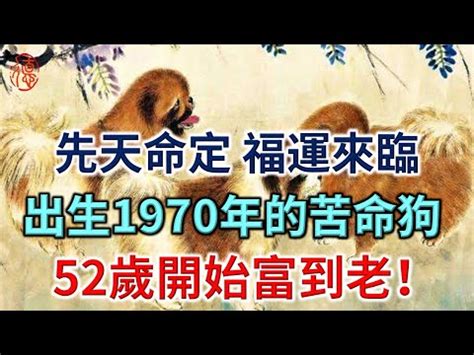 1970 狗|1970年是什麼生肖？70年生人命運如何？五行屬釵釧。